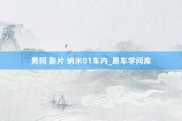 男同 影片 纳米01车内_易车学问库