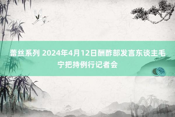 蕾丝系列 2024年4月12日酬酢部发言东谈主毛宁把持例行记者会