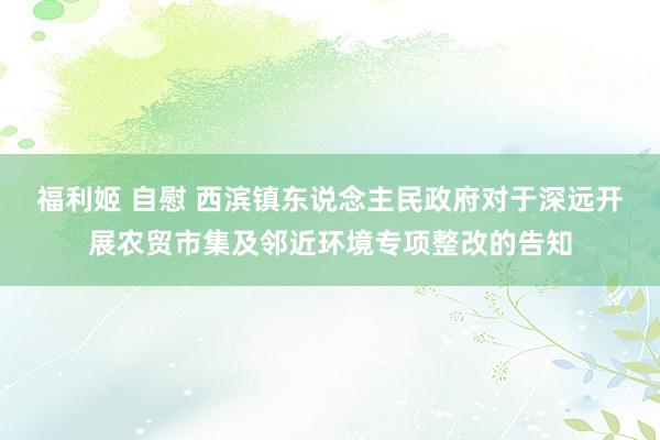 福利姬 自慰 西滨镇东说念主民政府对于深远开展农贸市集及邻近环境专项整改的告知